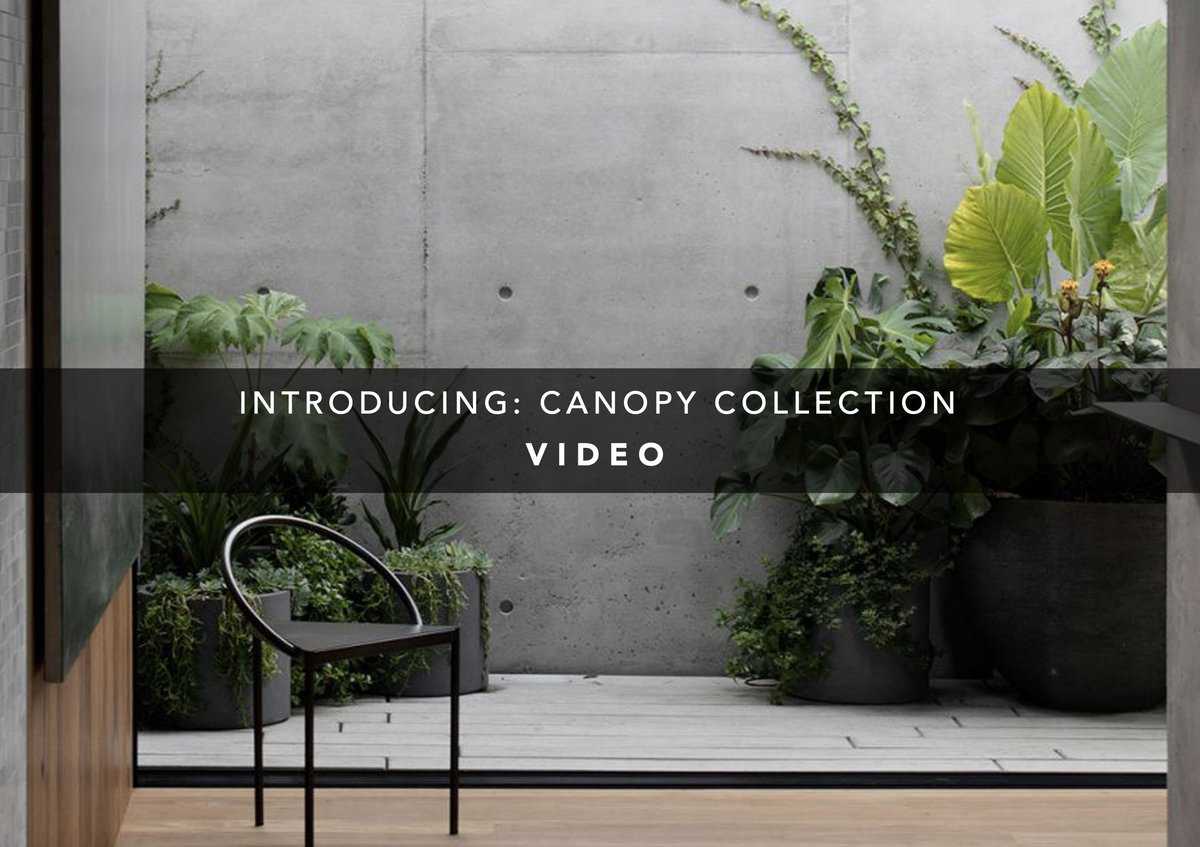 Introducing: Canopy Collection